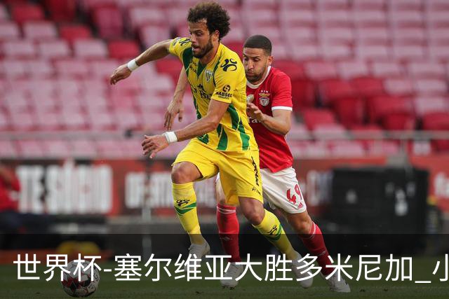 世界杯-塞尔维亚大胜多米尼加 小组第二进八强