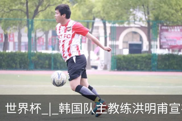 世界杯 | 韩国队主教练洪明甫宣布辞职